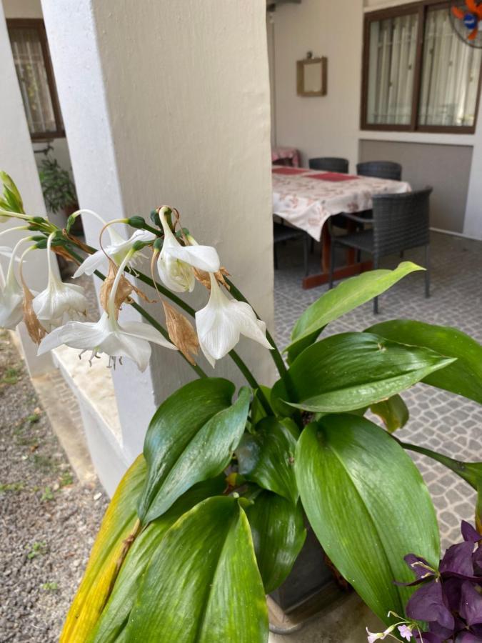 Gardenia Apartments Pereybere Beach Exterior foto